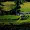 Nummer 1105013