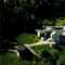 Nummer 1105054