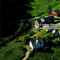Nummer 1105058