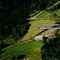 Nummer 1105077
