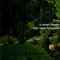 Nummer 1105084