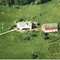 Nummer 1115029
