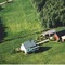 Nummer 1115045