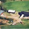 Nummer 1122053