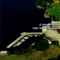 Nummer 1126054