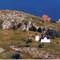 Nummer 128029
