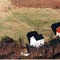 Nummer 142005