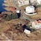 Nummer 143041