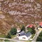Nummer 219042