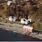 Nummer 245040