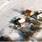 Nummer 3001031