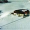 Nummer 3002009