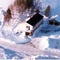 Nummer 3011002