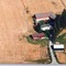 Nummer 303048