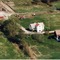 Nummer 311035