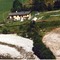 Nummer 415072