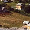 Nummer 423006