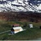 Nummer 439045