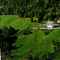Nummer 545025