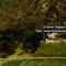 Nummer 617041