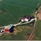 Nummer 736060