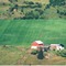 Nummer 828005