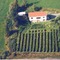 Nummer 830019