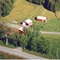 Nummer 901061