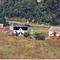 Nummer 908012