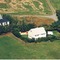 Nummer 917033