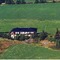 Nummer 917049