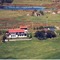 Nummer 917065