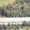 Nummer 926041