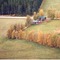 Nummer D726038