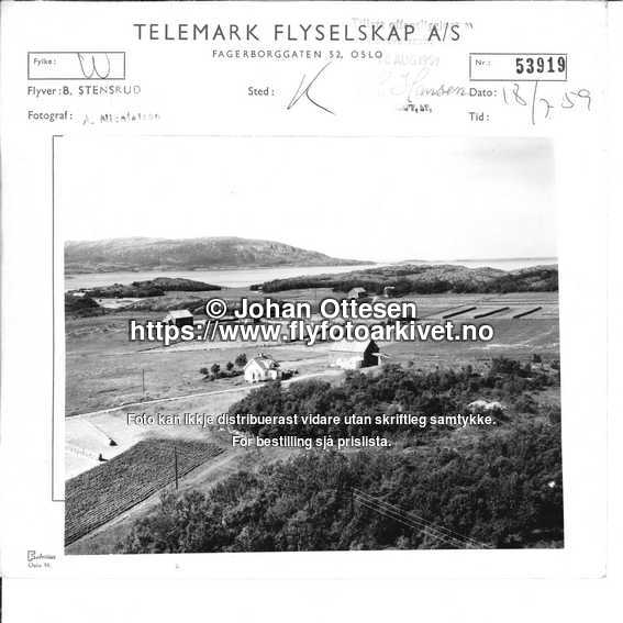 Nummer 53919
