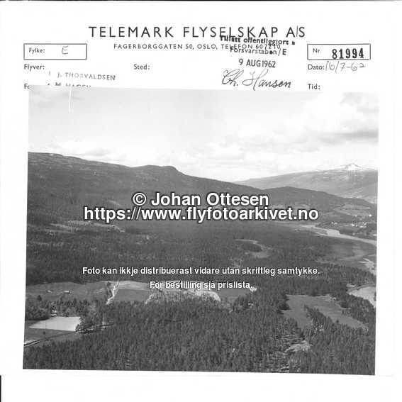 Nummer 81994