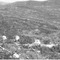 Nummer 103476