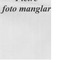 Nummer 103959