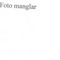 Nummer 105380