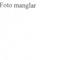 Nummer 105538