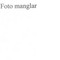 Nummer 105790