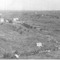 Nummer 105894