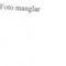 Nummer 105964