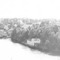 Nummer 111866
