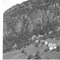 Nummer 11450