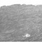 Nummer 115851