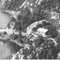 Nummer 119466