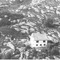 Nummer 119481