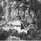 Nummer 119526