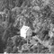 Nummer 119531